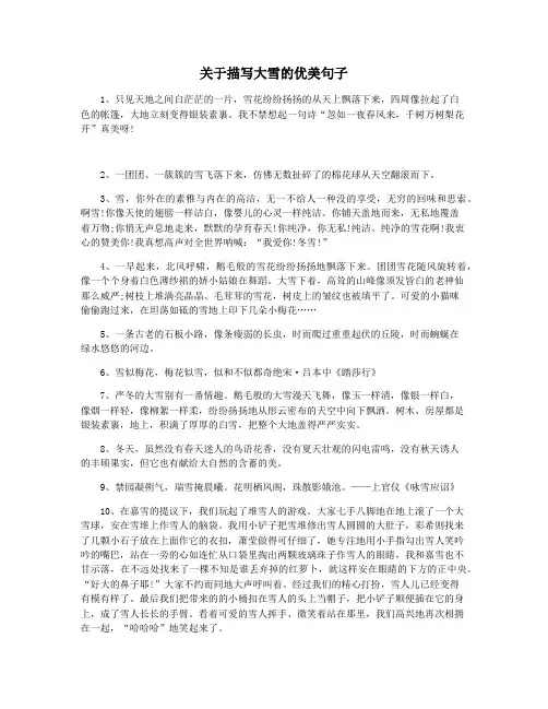 关于描写大雪的优美句子