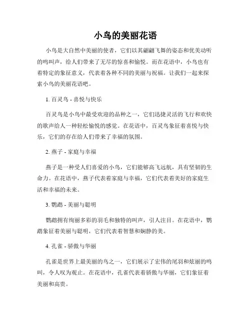 小鸟的美丽花语