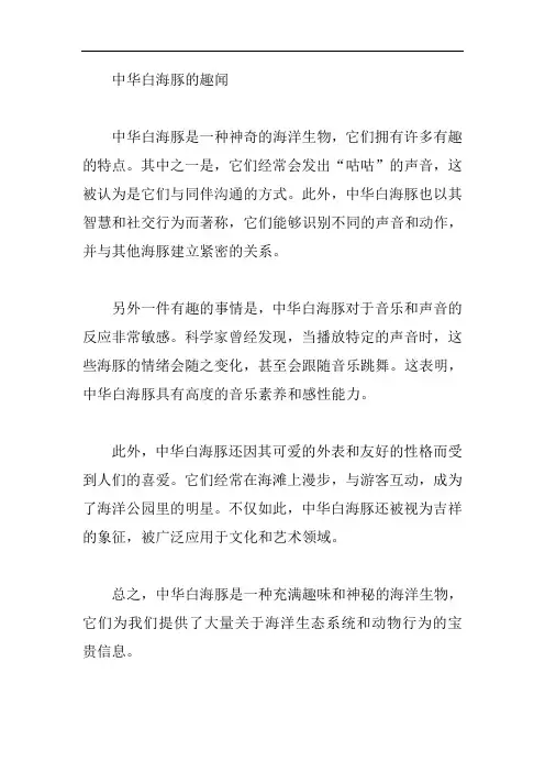 中华白海豚的趣事
