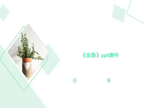 《金鱼》ppt课件
