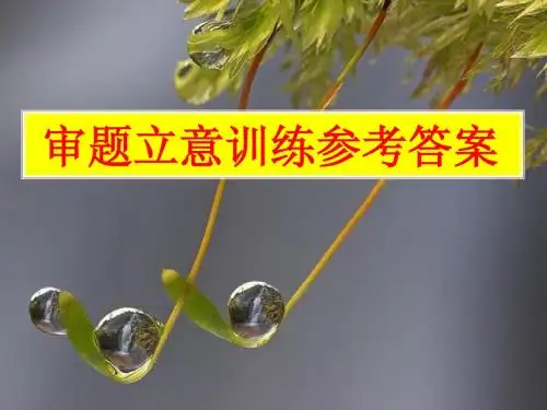 审题训练答案