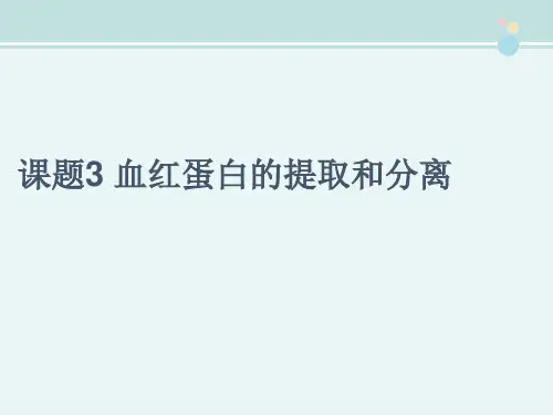 高中生物 血红蛋白的分离和提取课件
