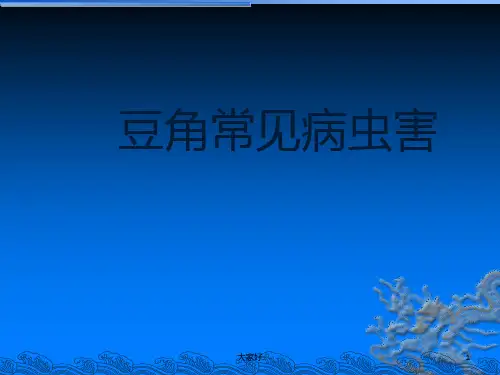 豆角常见病虫害-PPT