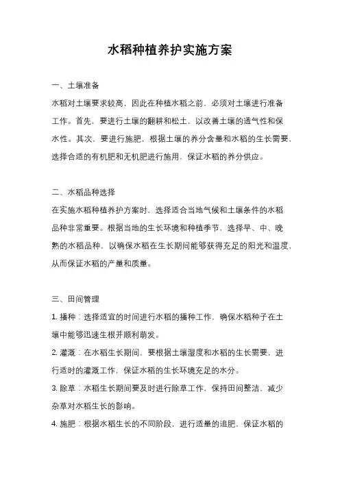 水稻种植养护实施方案