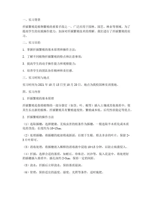 扦插繁殖的实习报告