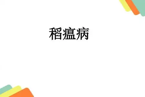 稻瘟病-PPT文档资料