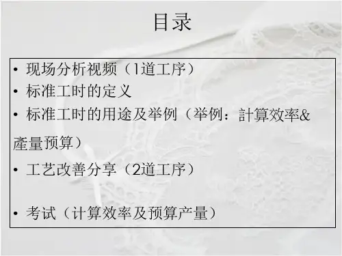 IE入门培训标准工时ppt课件