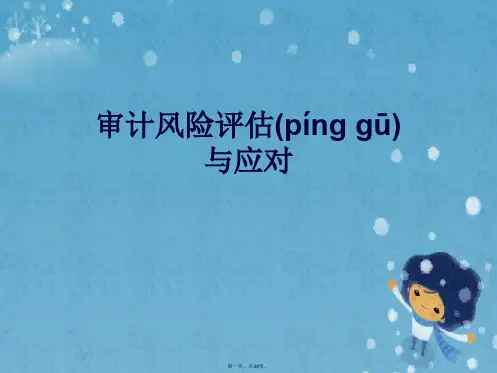 审计风险评估与应对