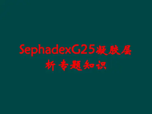 SephadexG25凝胶层析专题知识