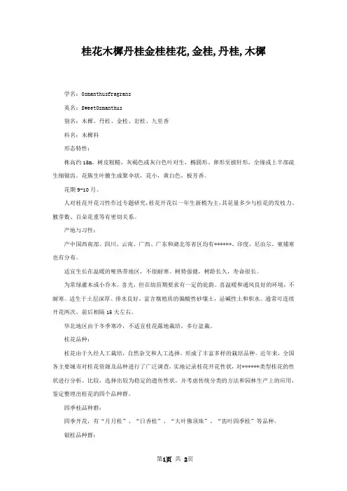 桂花木樨丹桂金桂桂花,金桂,丹桂,木樨