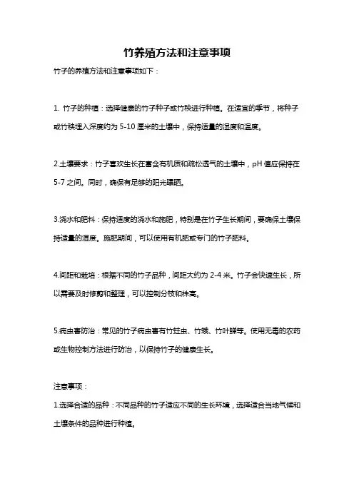 竹养殖方法和注意事项