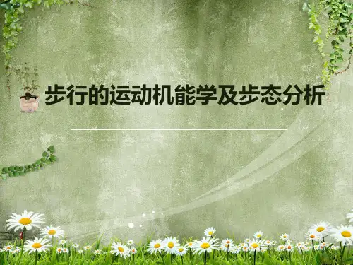 步行的运动机能学及步态分析