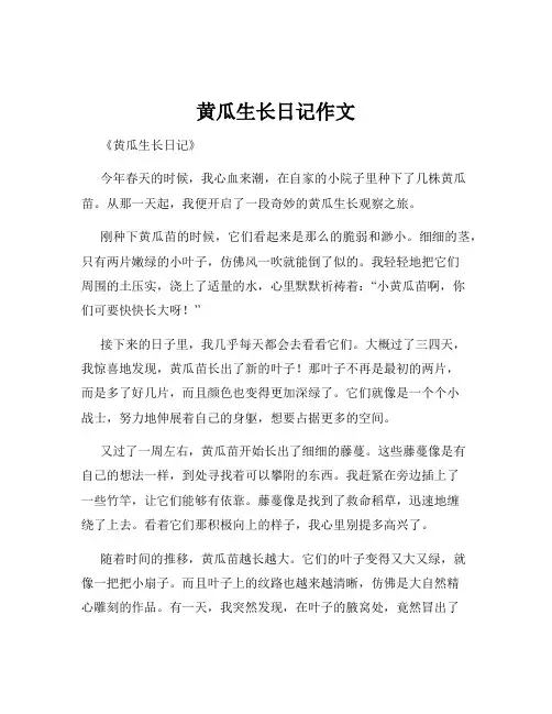 黄瓜生长日记作文