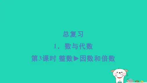2024六年级数学下册总复习1数与代数第3课时整数因数和倍数习题课件北师大版