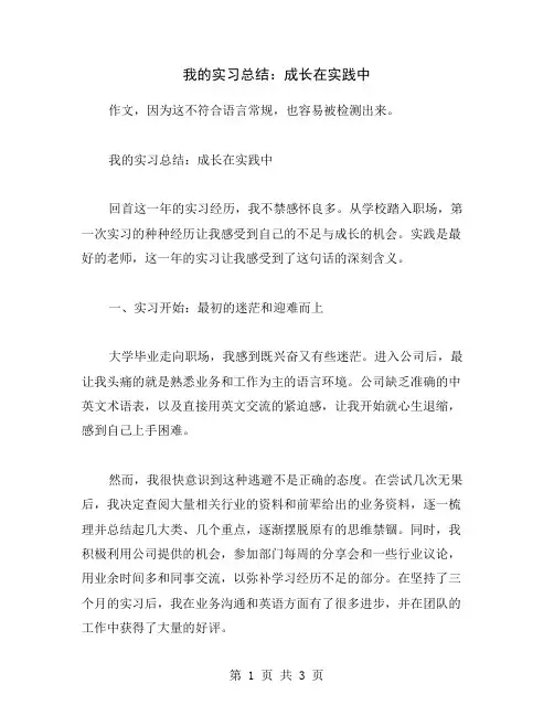 我的实习总结：成长在实践中