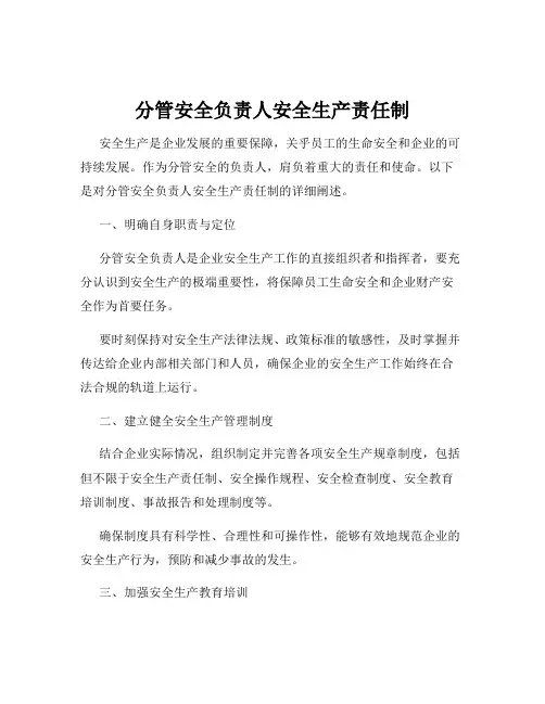 分管安全负责人安全生产责任制