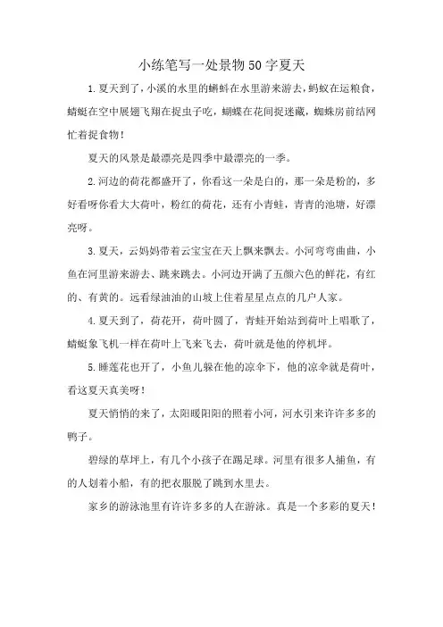 小练笔写一处景物50字夏天