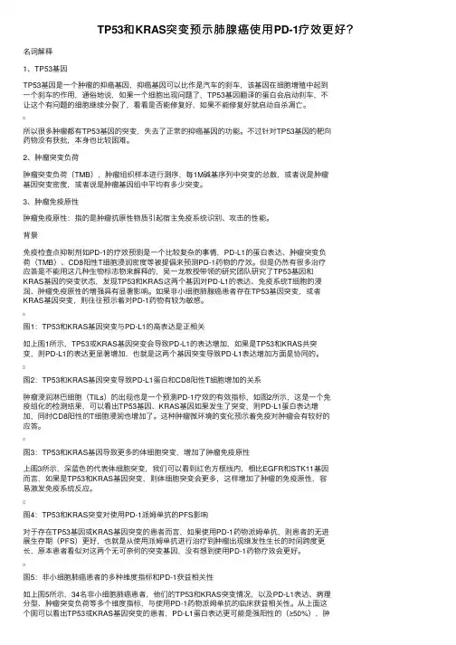 TP53和KRAS突变预示肺腺癌使用PD-1疗效更好？