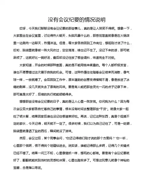 没有会议纪要的情况说明