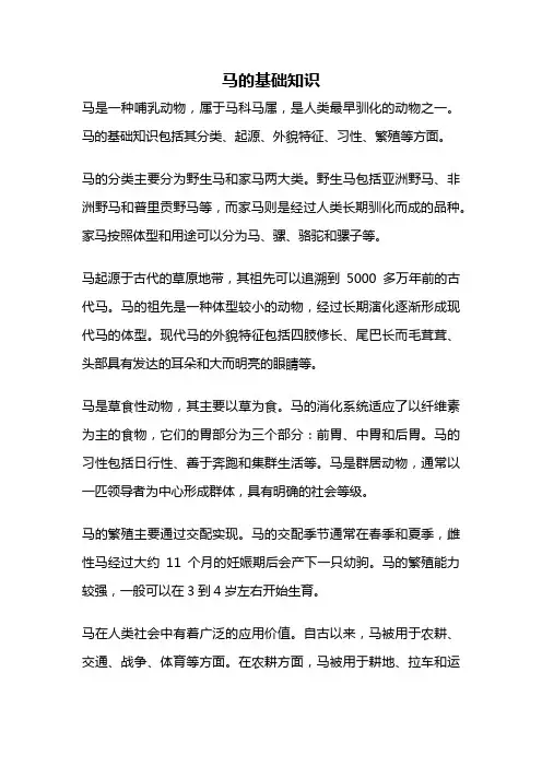 马的基础知识
