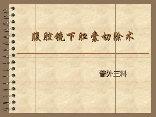 腹腔镜下胆囊切除术PPT课件
