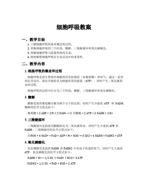 细胞呼吸教案