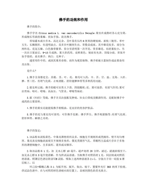 佛手的功效和作用