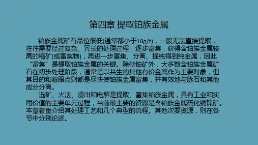 7提取铂族金属