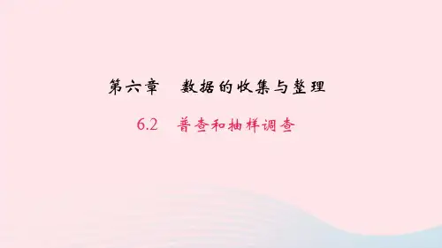 七年级数学上册第六章数据的收集与整理6.2普查和抽样调查作业课件新版北师大版