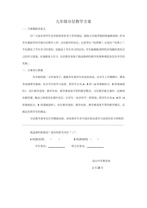 九年级分层教学方案