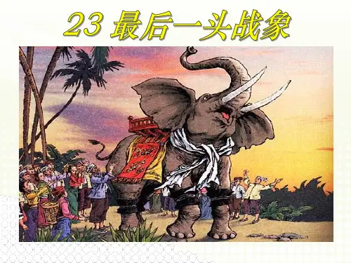 六年级上册语文课件23 最后一头战象｜人教新课标 (共20张PPT)