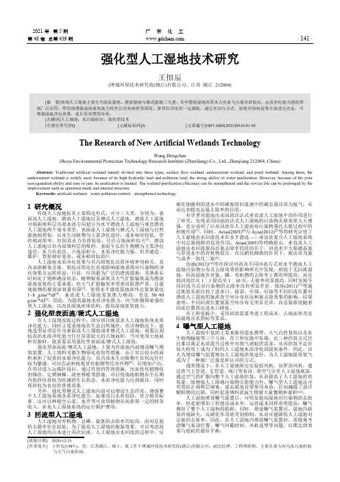 强化型人工湿地技术研究