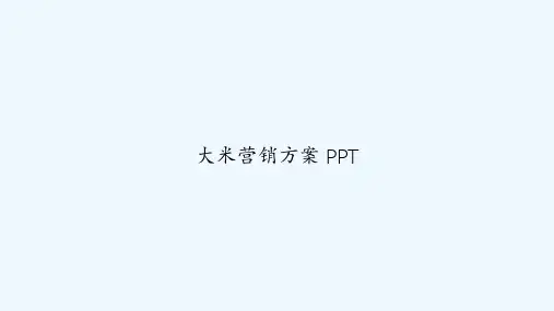 大米营销方案 PPT