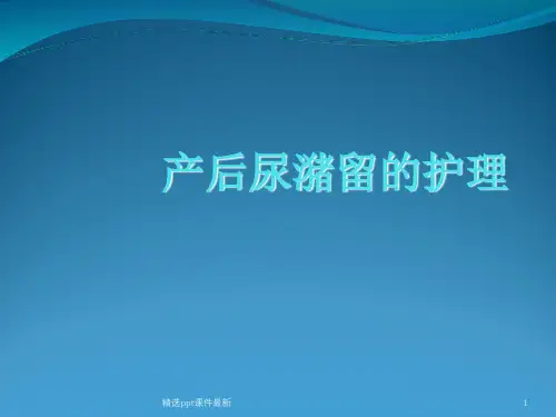 产后尿潴留的护理PPT专业课件