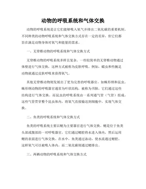 动物的呼吸系统和气体交换