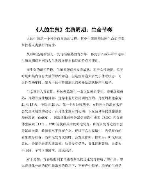 《人的生殖》生殖周期：生命节奏