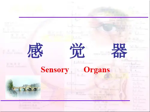 人体解剖学-感觉器、眼