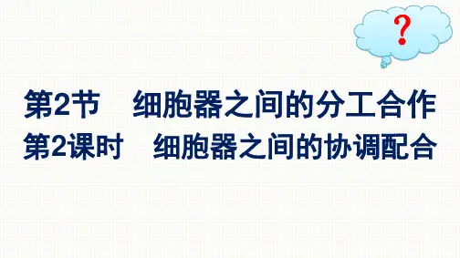 人教版高中生物学必修1精品课件 第3章 细胞的基本结构 第2节 第2课时 细胞器之间的协调配合
