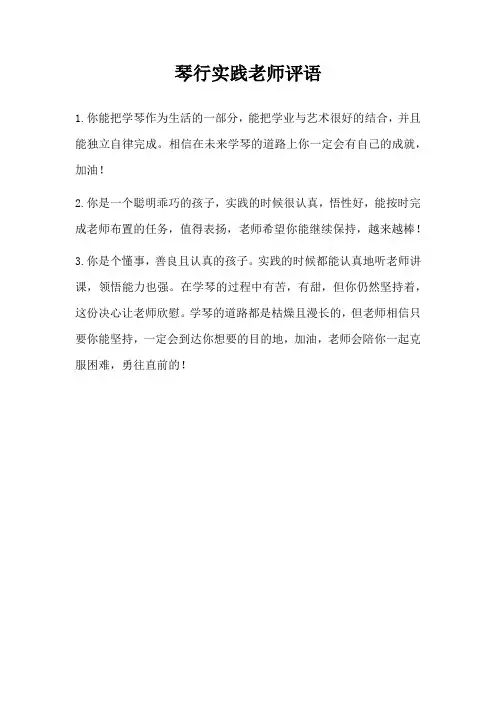 琴行实践老师评语
