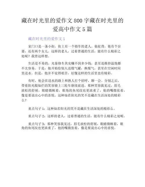 藏在时光里的爱作文800字藏在时光里的爱高中作文5篇