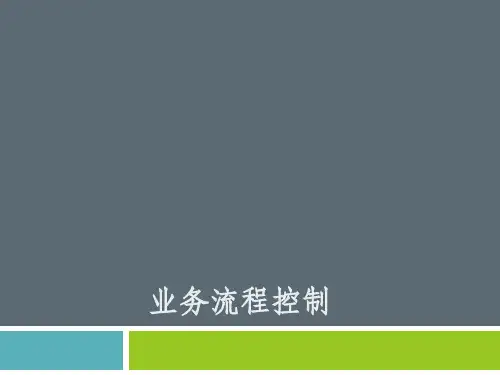 内部控制与风险管理：业务流程控制