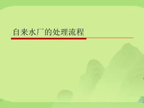 自来水厂的处理流程