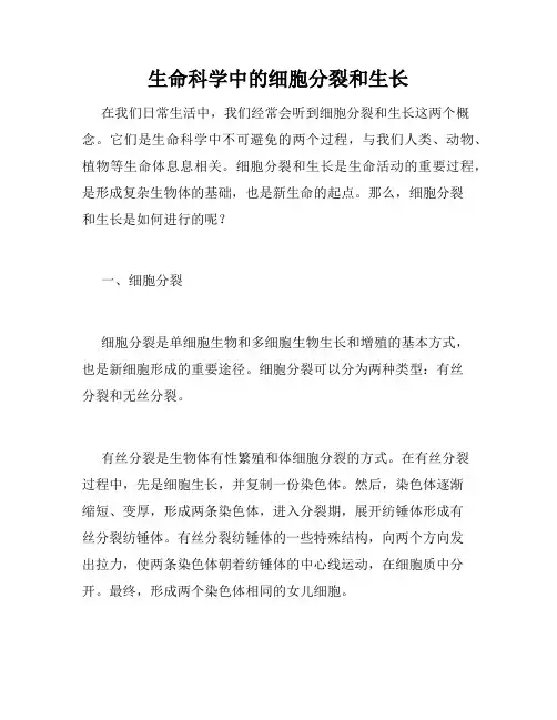 生命科学中的细胞分裂和生长