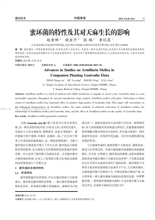 蜜环菌的特性及其对天麻生长的影响