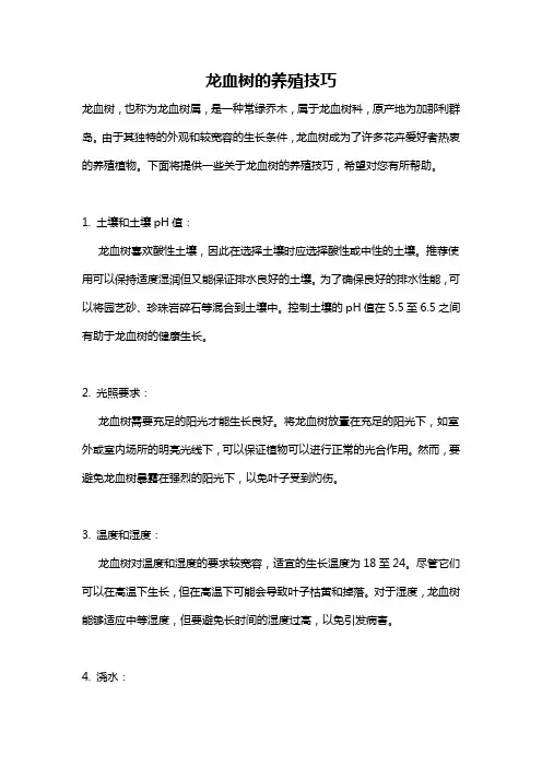 龙血树的养殖技巧