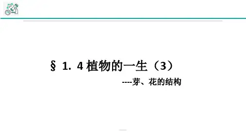 七年级下科学《植物的一生》优质公开课1
