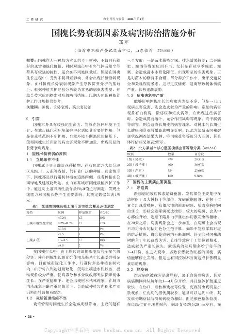 国槐长势衰弱因素及病害防治措施分析