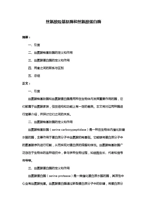 丝氨酸羧基肽酶和丝氨酸蛋白酶
