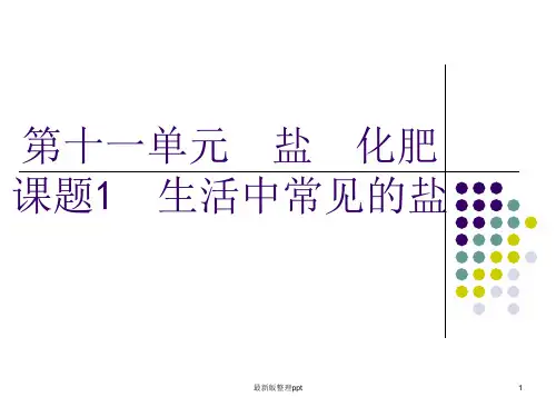 生活中常见的盐ppt课件