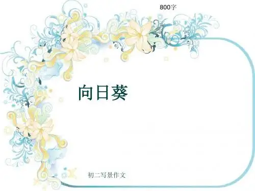 初二写景作文《向日葵》800字(共9页PPT)